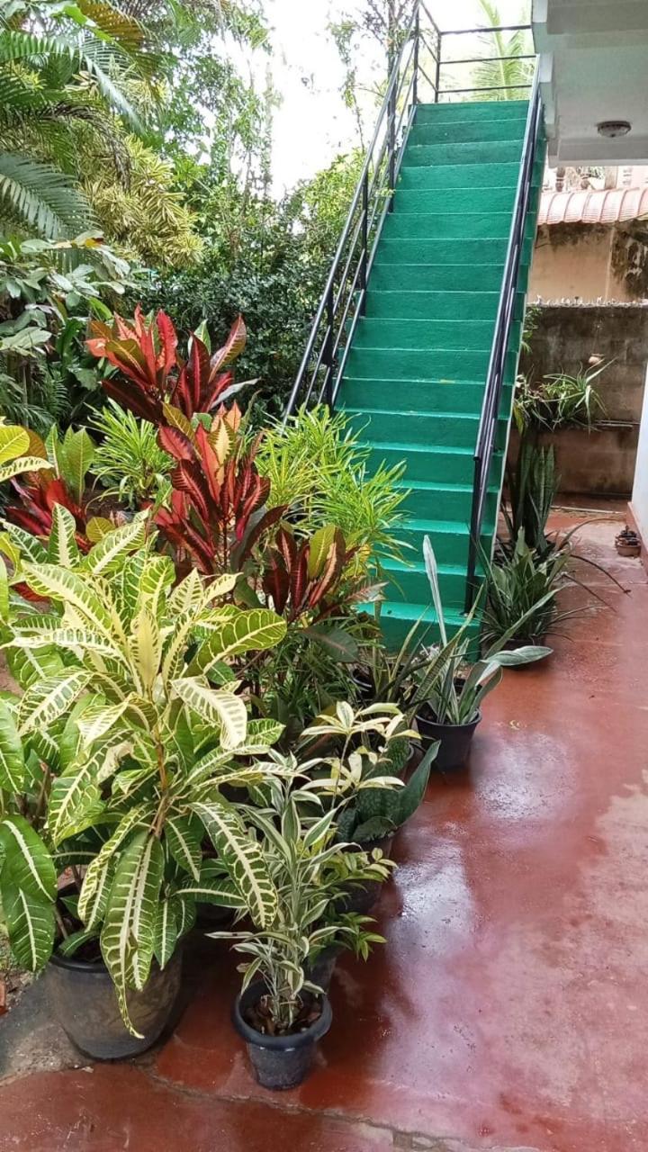 Dana Guest Home Mirissa Dış mekan fotoğraf